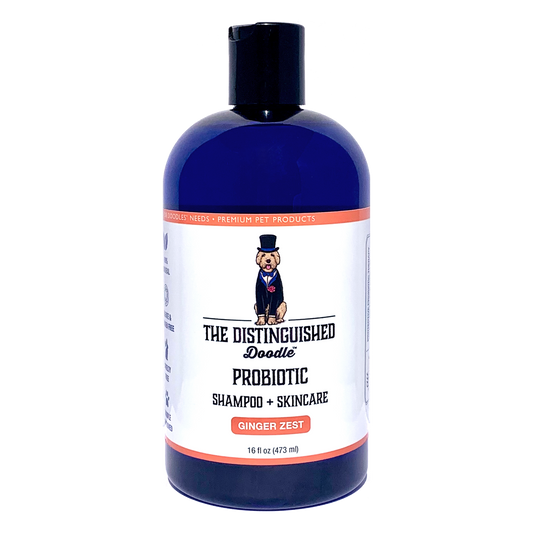 Probiotic Shampoo (Ginger Zest)