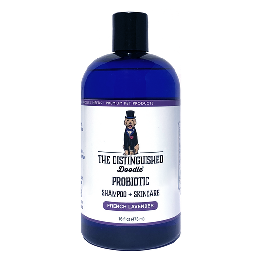 Probiotic Shampoo (Lavender)