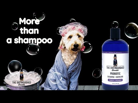 More than a shampoo